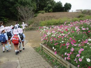 芋掘り年長1